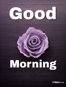 good morning rose image