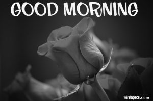 good morning love images