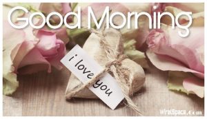 good morning rose image