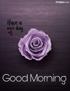 good morning rose image