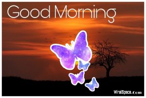 good morning images for whatsapp