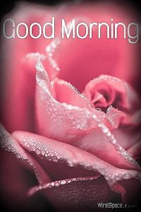 good morning images to download