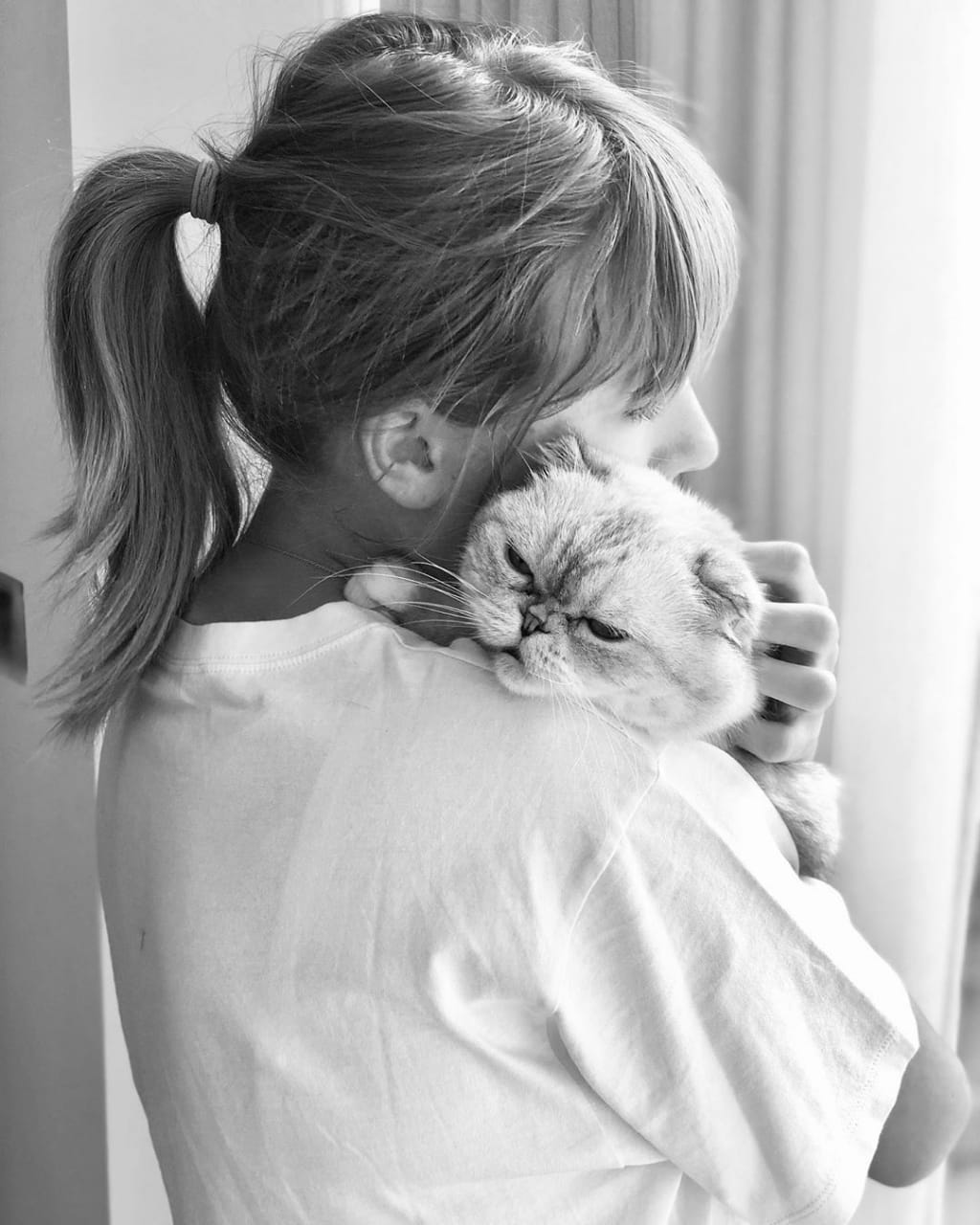taylor swift image with her cat
